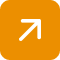 Button Icon